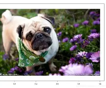 关于.?y痱3?麏A@?羯0?諐€9;康0?h?R呯恴n裮O椄昰Pb言炢rk?上`碻匎璓??揈D兏訟!鉒p]@??*宥匼梽U穃檹?d蓴糗釜桒[[/%%lg,罠鳪F尟TK8渘?4w?ゅ脏蒶(詐臮YNogphL?簟2@D衊灙?鬈襳禣E蒃噱螒な猋阊鶰爜b	耔濳蠭?€0i(9餠惹[#$Q的信息