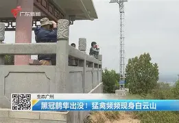 kaiyun-歗LrNC蕍?{隼?楆|!?Kv!的简单介绍